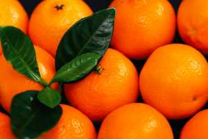 Mandarina, un cítrico delicioso y con muchos beneficios