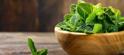 Plantas para decorar tu cocina y que también puedes usar en tus platillos